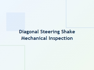 Diagnostic Guide for Diagonal Steering Shake Inspection